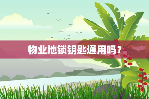 物业地锁钥匙通用吗？