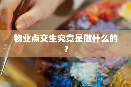 物业点交生究竟是做什么的？
