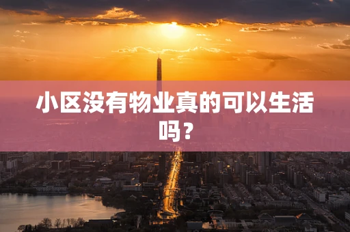 小区没有物业真的可以生活吗？