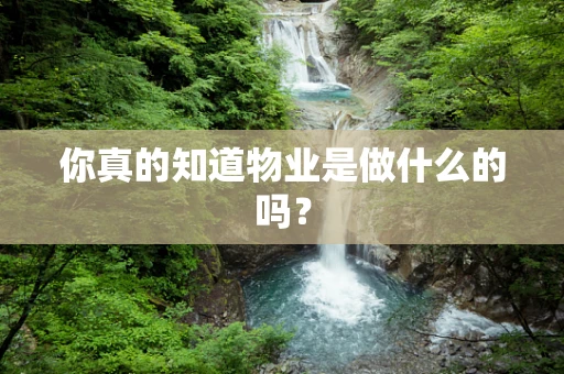 你真的知道物业是做什么的吗？