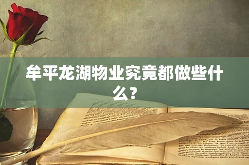 牟平龙湖物业究竟都做些什么？