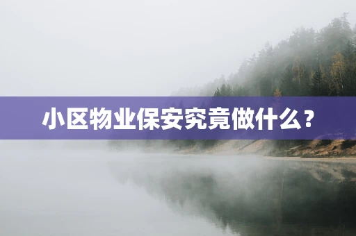 小区物业保安究竟做什么？