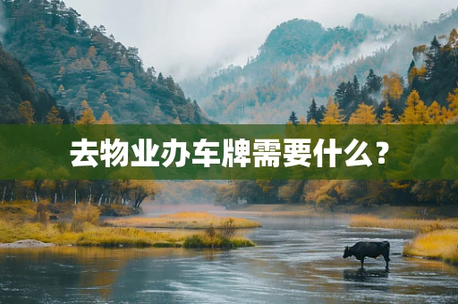 去物业办车牌需要什么？