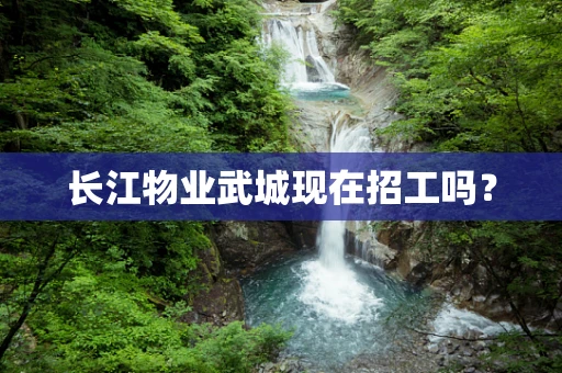 长江物业武城现在招工吗？