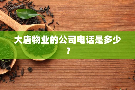 大唐物业的公司电话是多少？
