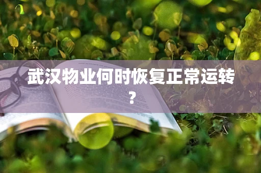 武汉物业何时恢复正常运转？