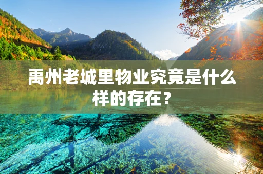 禹州老城里物业究竟是什么样的存在？