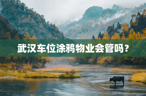武汉车位涂鸦物业会管吗？