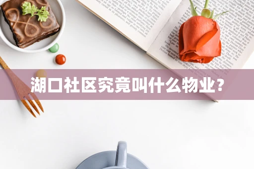 湖口社区究竟叫什么物业？