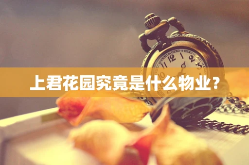 上君花园究竟是什么物业？