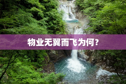 物业无翼而飞为何？