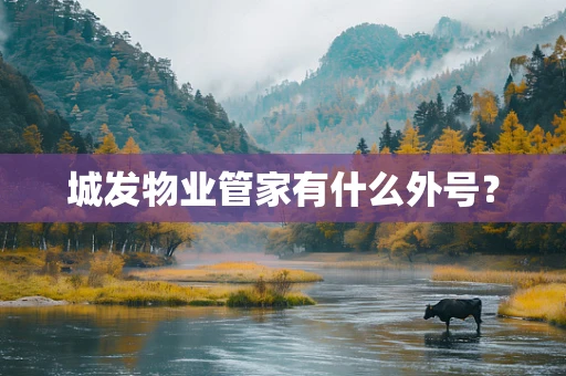 城发物业管家有什么外号？