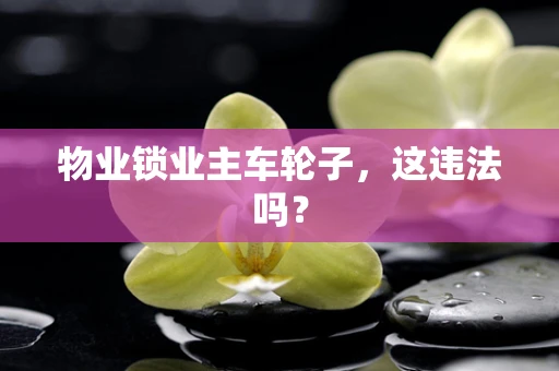 物业锁业主车轮子，这违法吗？