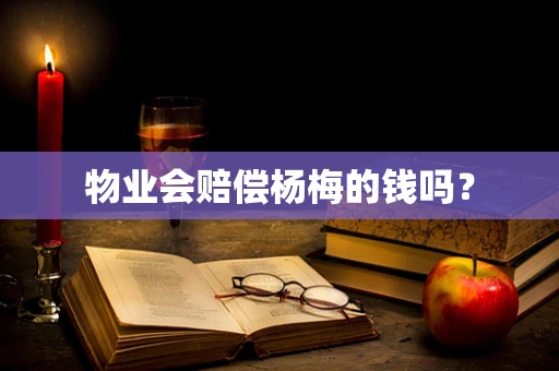 物业会赔偿杨梅的钱吗？