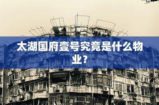 太湖国府壹号究竟是什么物业？