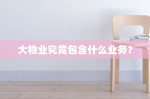 大物业究竟包含什么业务？
