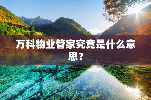万科物业管家究竟是什么意思？