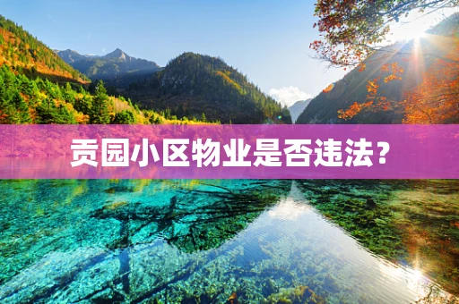 贡园小区物业是否违法？