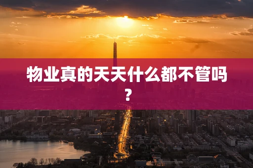 物业真的天天什么都不管吗？