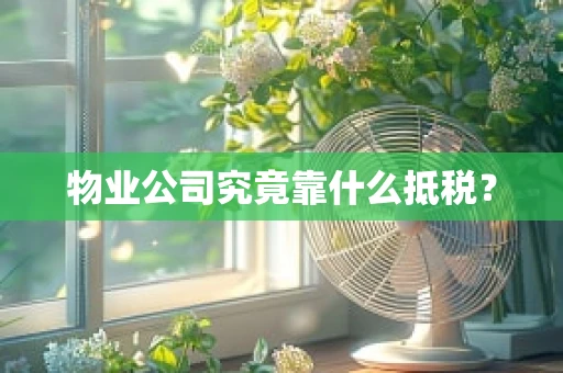 物业公司究竟靠什么抵税？