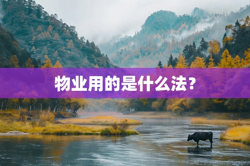 物业用的是什么法？