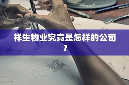 祥生物业究竟是怎样的公司？