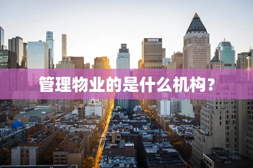 管理物业的是什么机构？