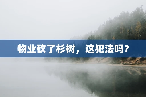 物业砍了杉树，这犯法吗？
