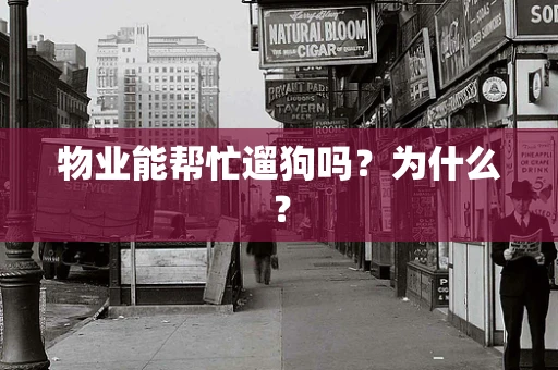 物业能帮忙遛狗吗？为什么？