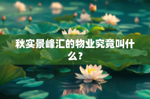 秋实景峰汇的物业究竟叫什么？