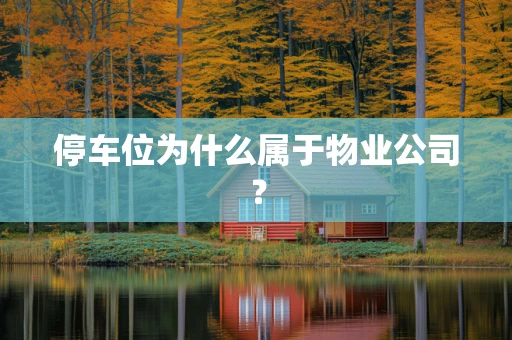 停车位为什么属于物业公司？