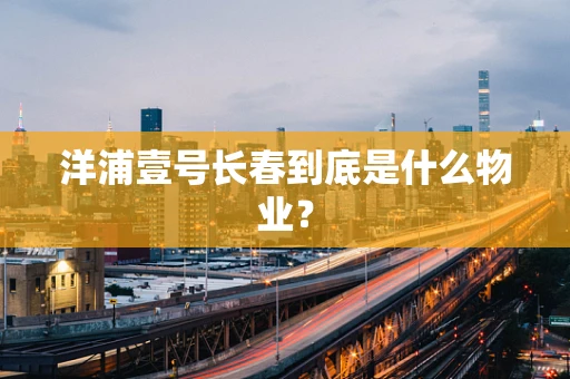 洋浦壹号长春到底是什么物业？