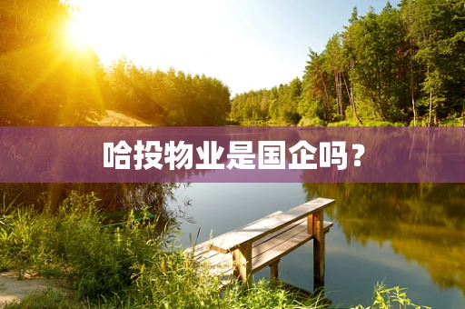 哈投物业是国企吗？