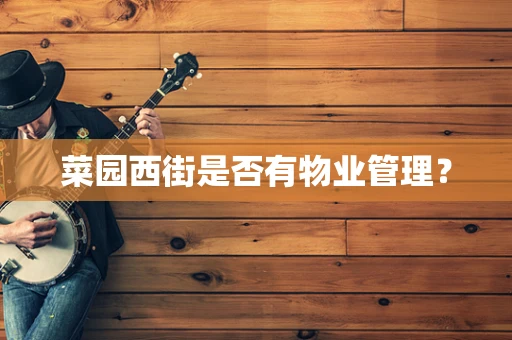 菜园西街是否有物业管理？