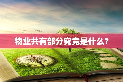 物业共有部分究竟是什么？