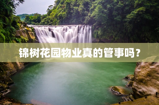 锦树花园物业真的管事吗？