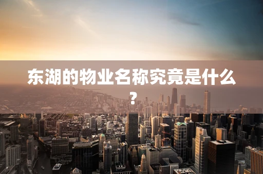 东湖的物业名称究竟是什么？