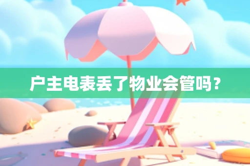 户主电表丢了物业会管吗？