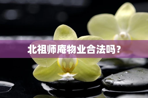 北祖师庵物业合法吗？