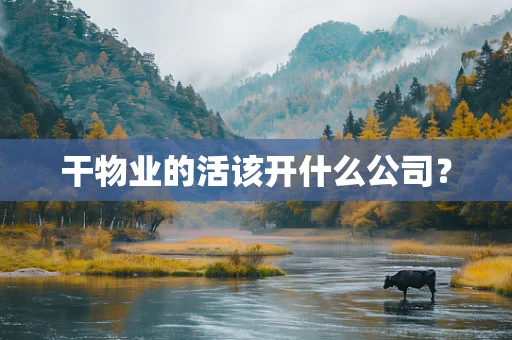 干物业的活该开什么公司？