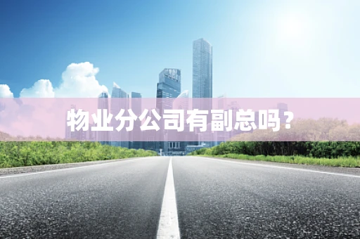 物业分公司有副总吗？