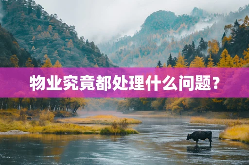 物业究竟都处理什么问题？