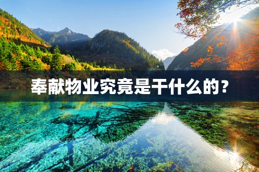 奉献物业究竟是干什么的？