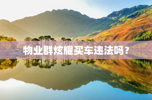 物业群炫耀买车违法吗？