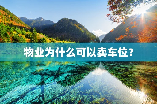 物业为什么可以卖车位？