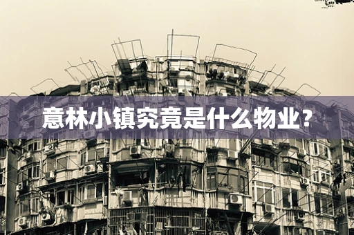 意林小镇究竟是什么物业？