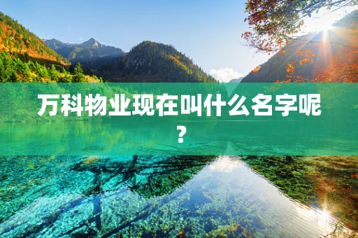 万科物业现在叫什么名字呢？