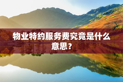 物业特约服务费究竟是什么意思？