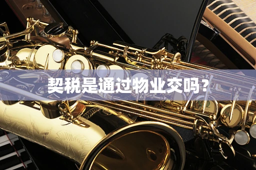 契税是通过物业交吗？