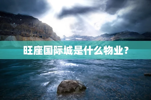 旺座国际城是什么物业？